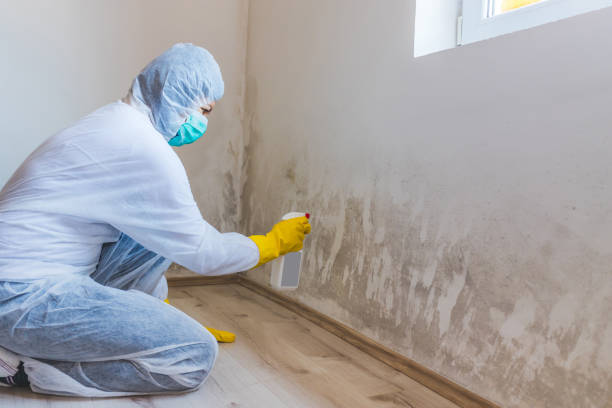 Commercial Mold Remediation assessment for commercial property in Spotswood
